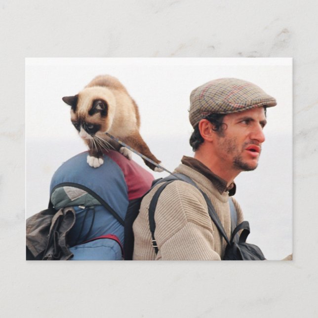 Cat and homeless postcard (Front)