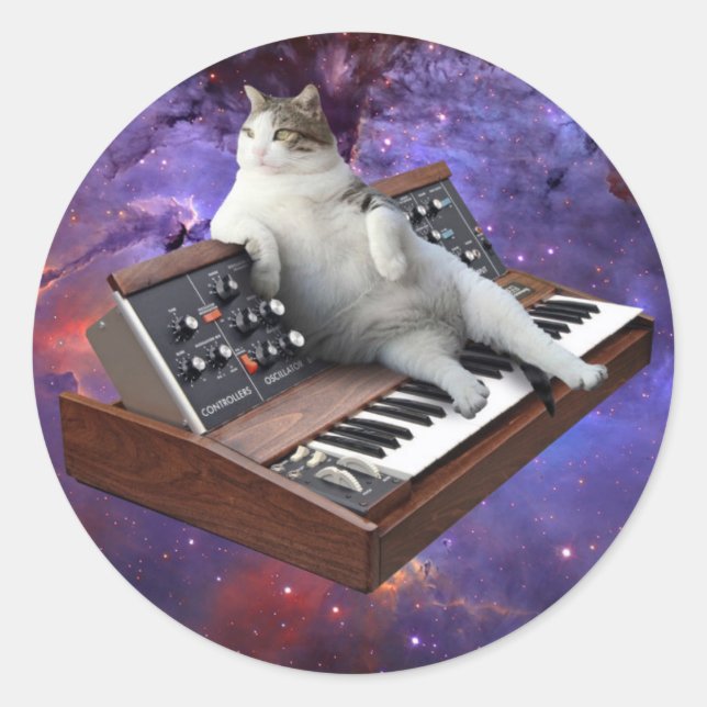 Cat and keyboard classic round sticker (Front)