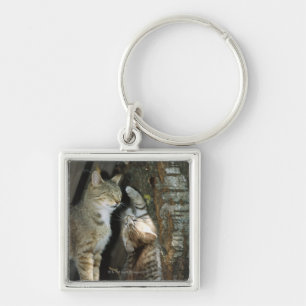 Cat and Kitten by Tree Key Ring