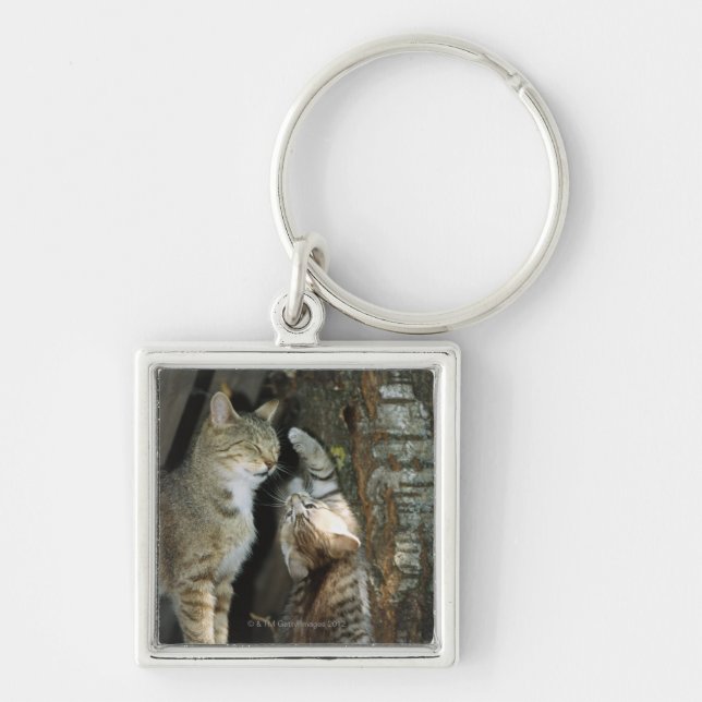 Cat and Kitten by Tree Key Ring (Front)