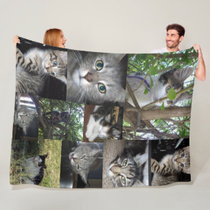Cat And Kitten Photo Collage, Fleece Blanket