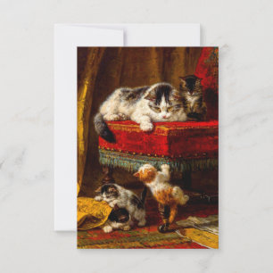 Cat and Kittens Playing with Chair RSVP Card
