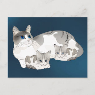 cat and kittens postcard