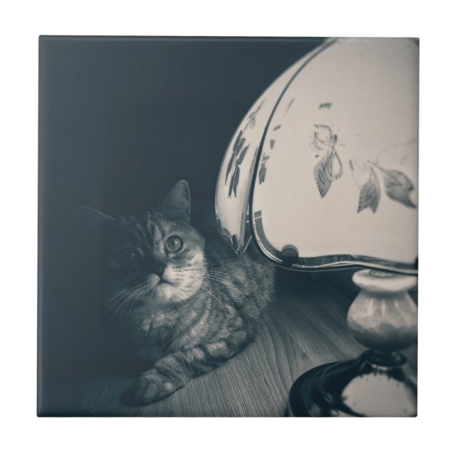 Cat and Lamp Noir Style Photograph Ceramic Tile (Front)