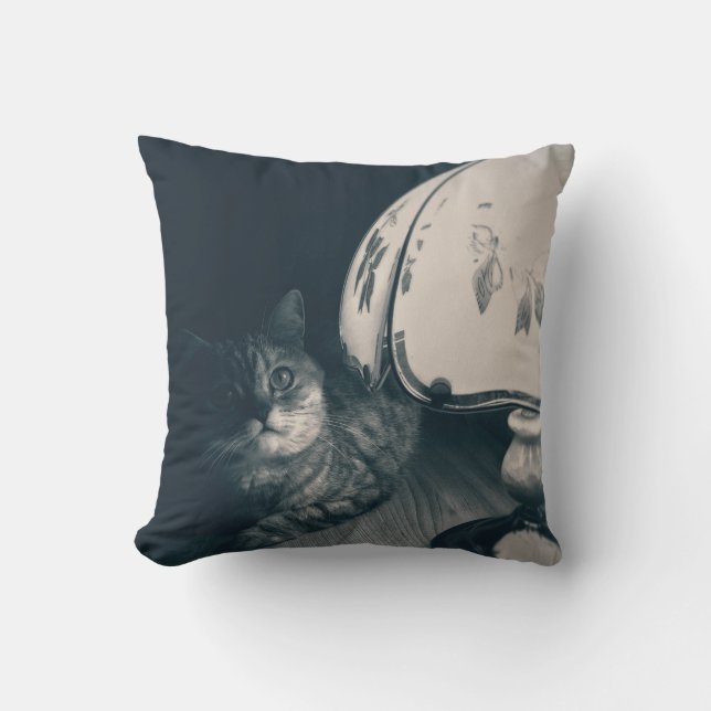 Cat and Lamp Noir Style Photograph Cushion (Front)