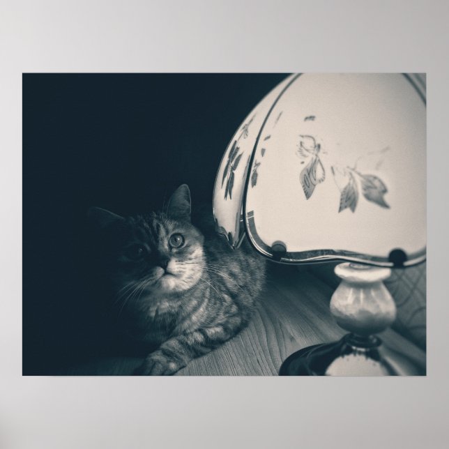 Cat and Lamp Noir Style Photograph Poster (Front)