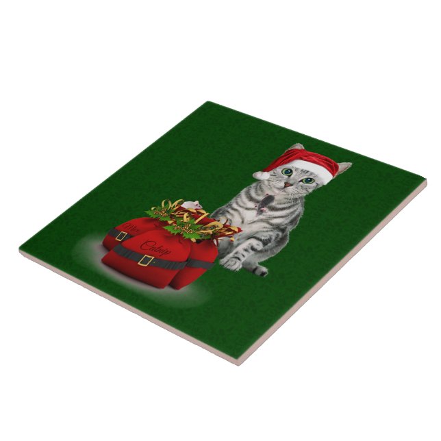 Cat and Mouse Christmas Tile (Side)