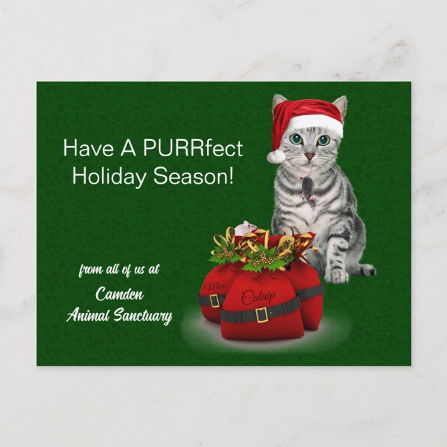 Cat and Mouse Funny Christmas Holiday Postcard (Front)