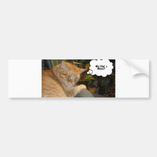 Cat and Mouse Humour Bumper Sticker