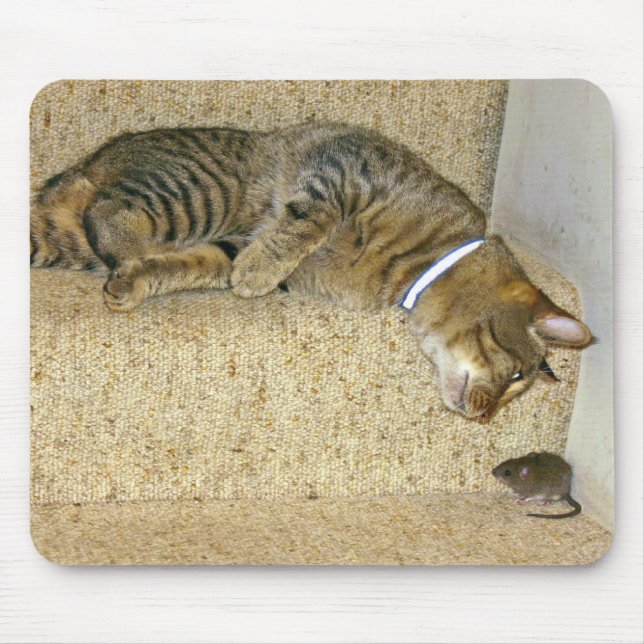 Cat and Mouse staring contest Pad (Front)