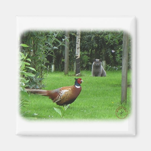 Cat and Pheasant Magnet (Front)