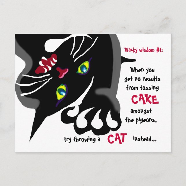 Cat and Pigeons - whacky wisdom Postcard (Front)