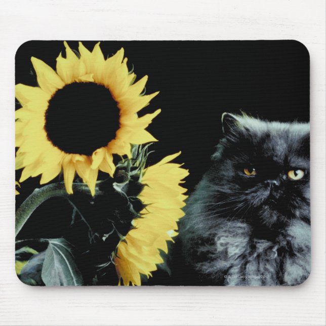 Cat and Sunflower Mouse Pad (Front)