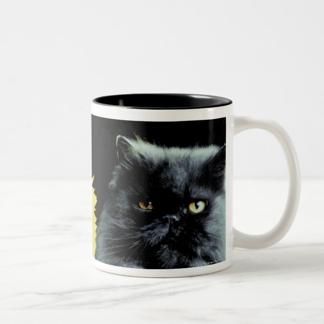 Cat and Sunflower Two-Tone Coffee Mug (Right)