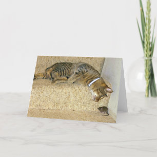 Cat and Tasty Mouse Card
