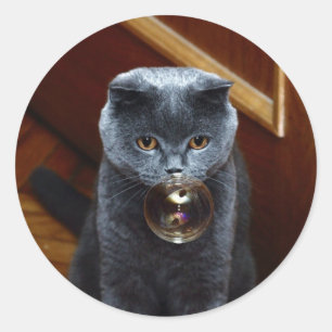 Cat and the soap bubble classic round sticker