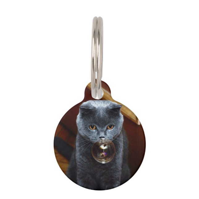 Cat and the soap bubble pet tag (Front)