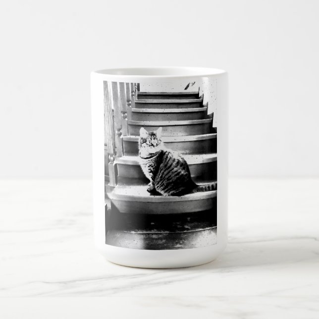 Cat and the stairs coffee mug (Center)