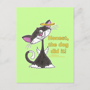 Cat Angel Postcard