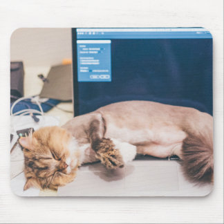 Cat, Animal, Pet Mouse Pad