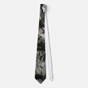 Cat Animal Pet Tie