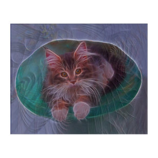Cat Art - Bowl Of Fur - Rectangular Art