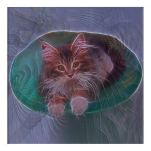 Cat Art - Bowl Of Fur - Square Art