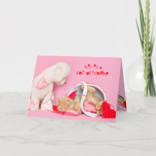 Cat-astrophe Valentine dog and cat card