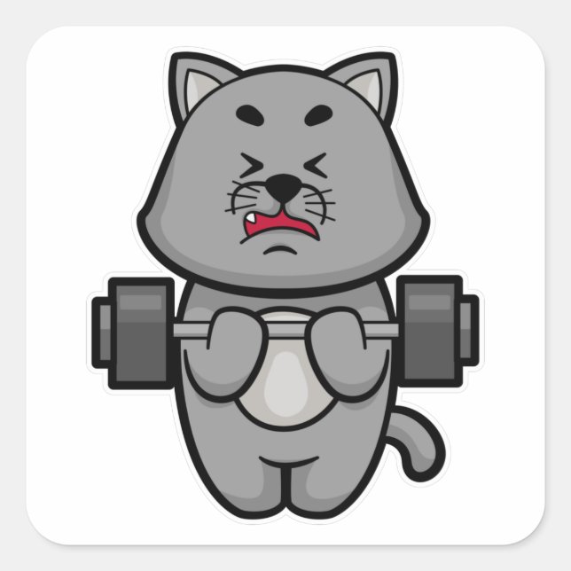 Cat at Biceps training with Barbell Square Sticker (Front)