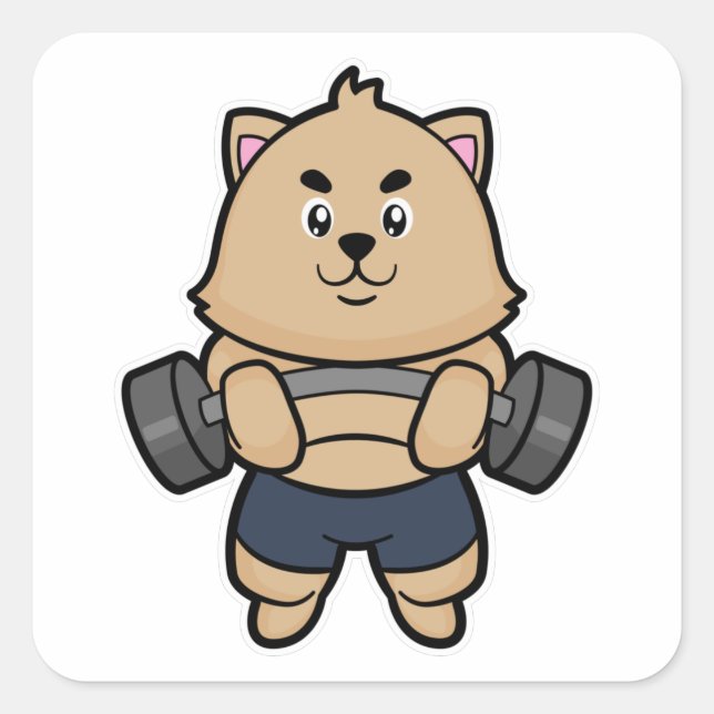 Cat at Bodybuilding with Barbell Square Sticker (Front)