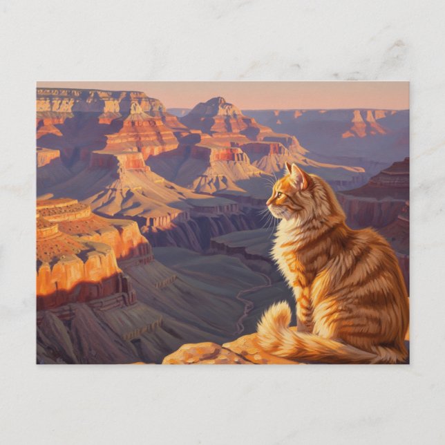 Cat at Grand Canyon National Park Postcard (Front)