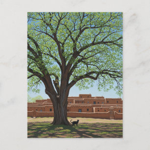 Cat at Taos Pueblo New Mexico Postcard