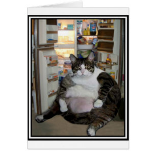 CAT AT THE FRIDGE