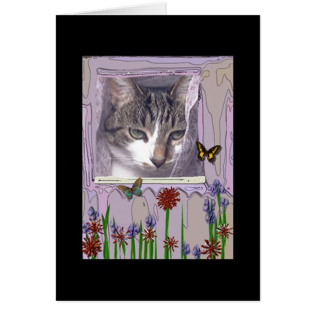 Cat at Window (Front)