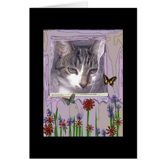 Cat at Window Card