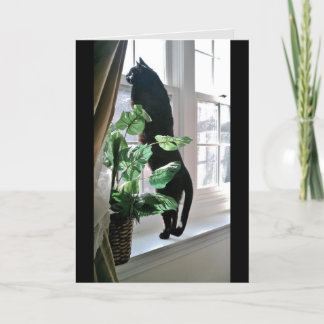 Cat at Window Note Card