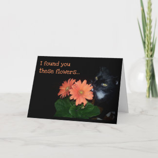 Cat Ate Your Birthday Flowers Card