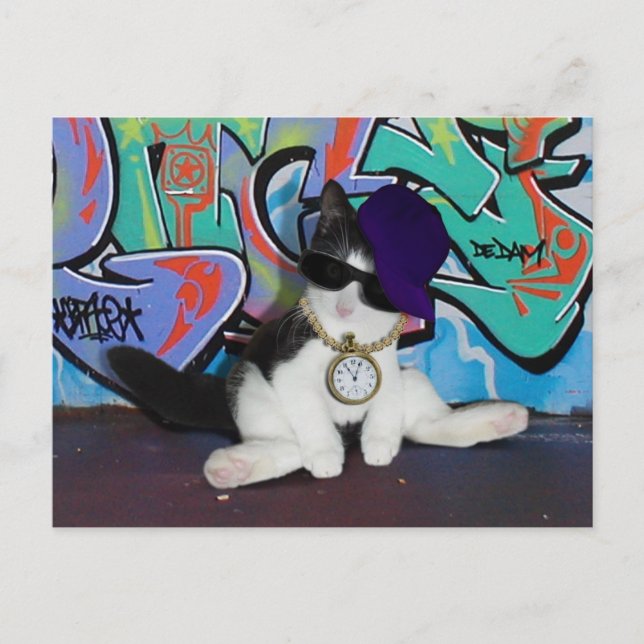 Cat Attitude.......Cat-itude! Postcard (Front)