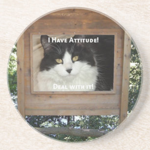 Cat Attitude Coaster