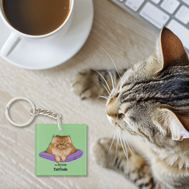 Cat Attitude Funny Key Ring (Creator Uploaded)