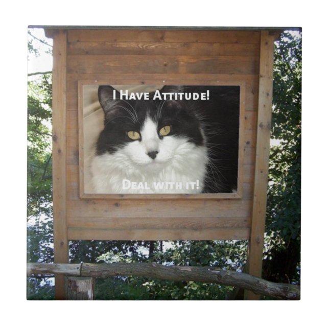 Cat Attitude Tile (Front)