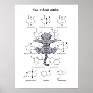 Cat attractant poster