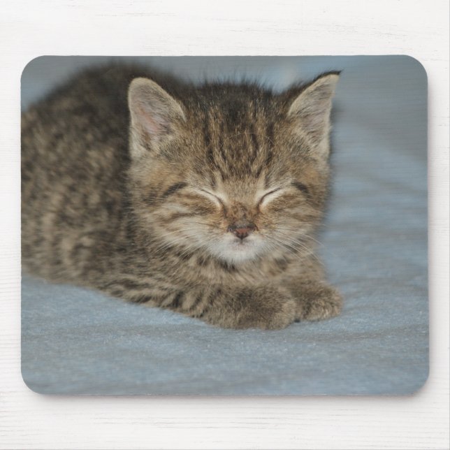 cat baby mouse pad (Front)