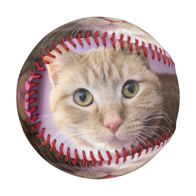 Cat Baseball (Front Left)