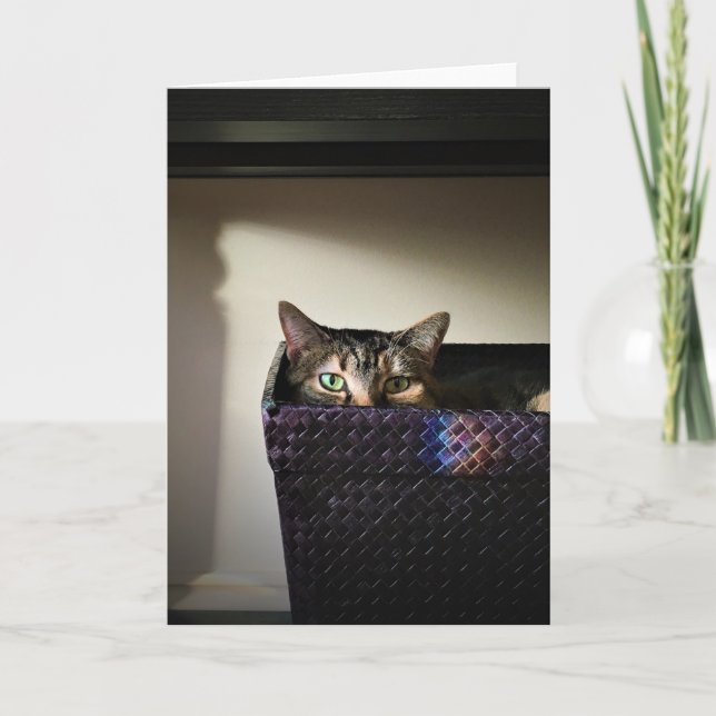 Cat Basket, card (Front)