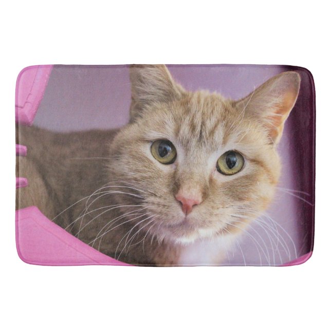Cat Bath Mat (Front)