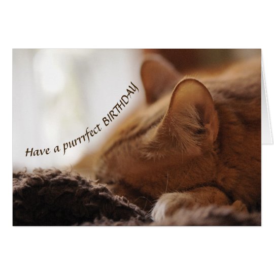 Cat Bday card