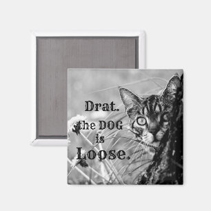 Cat Behind Tree, Drat, the Dog is Loose. Magnet