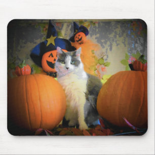 Cat Between Pumpkins Mouse Pad