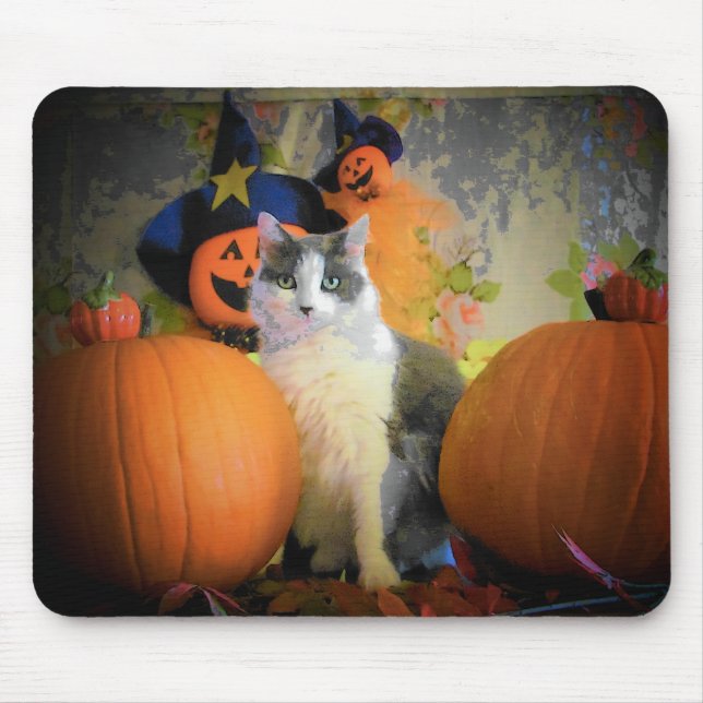 Cat Between Pumpkins Mouse Pad (Front)